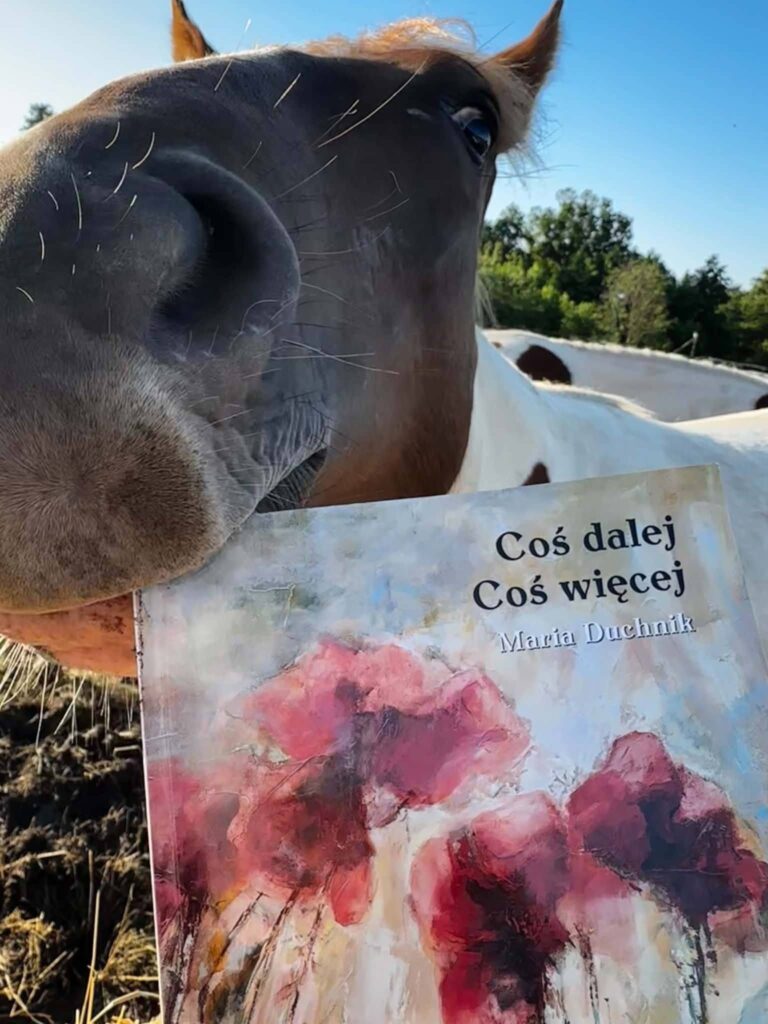 Książka Marii Duchnik w podróży — materiał z albumu „Poezja w podróży”